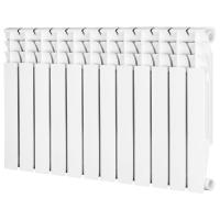 EvBi500_12_web_800x800