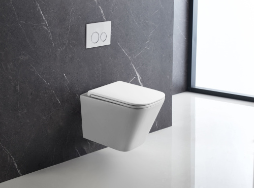 Terminus Унитаз подвесной безободковый Terminus Ватикан 490х340 белый