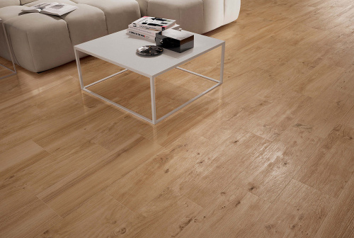 ATLAS CONCORDE RUSSIA Керамогранит Frame Honey 22,5*90